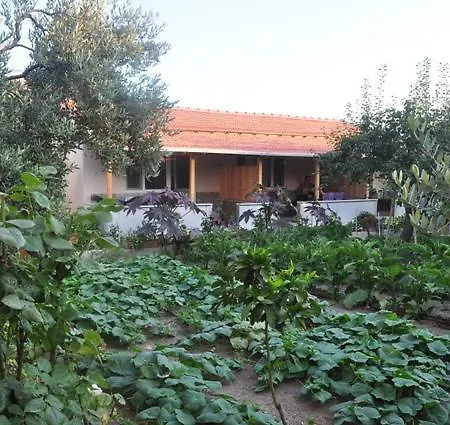 Holiday home Daire 1 *